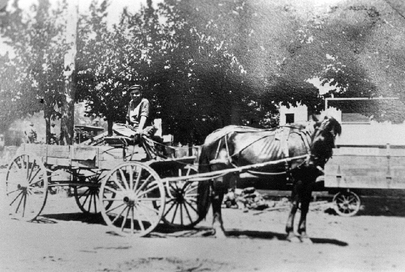 an old black and white photo of a horse drawn cart with a man riding in it