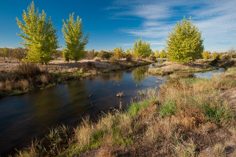 an image of Morris Creek